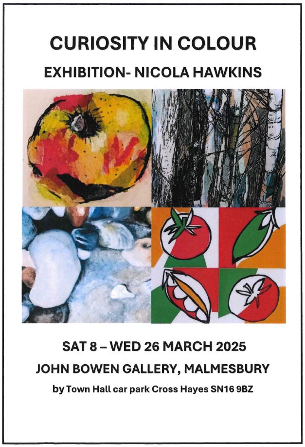 John Bowen Gallery Exhibition - Curiosity in Colour Nicola Hawkins